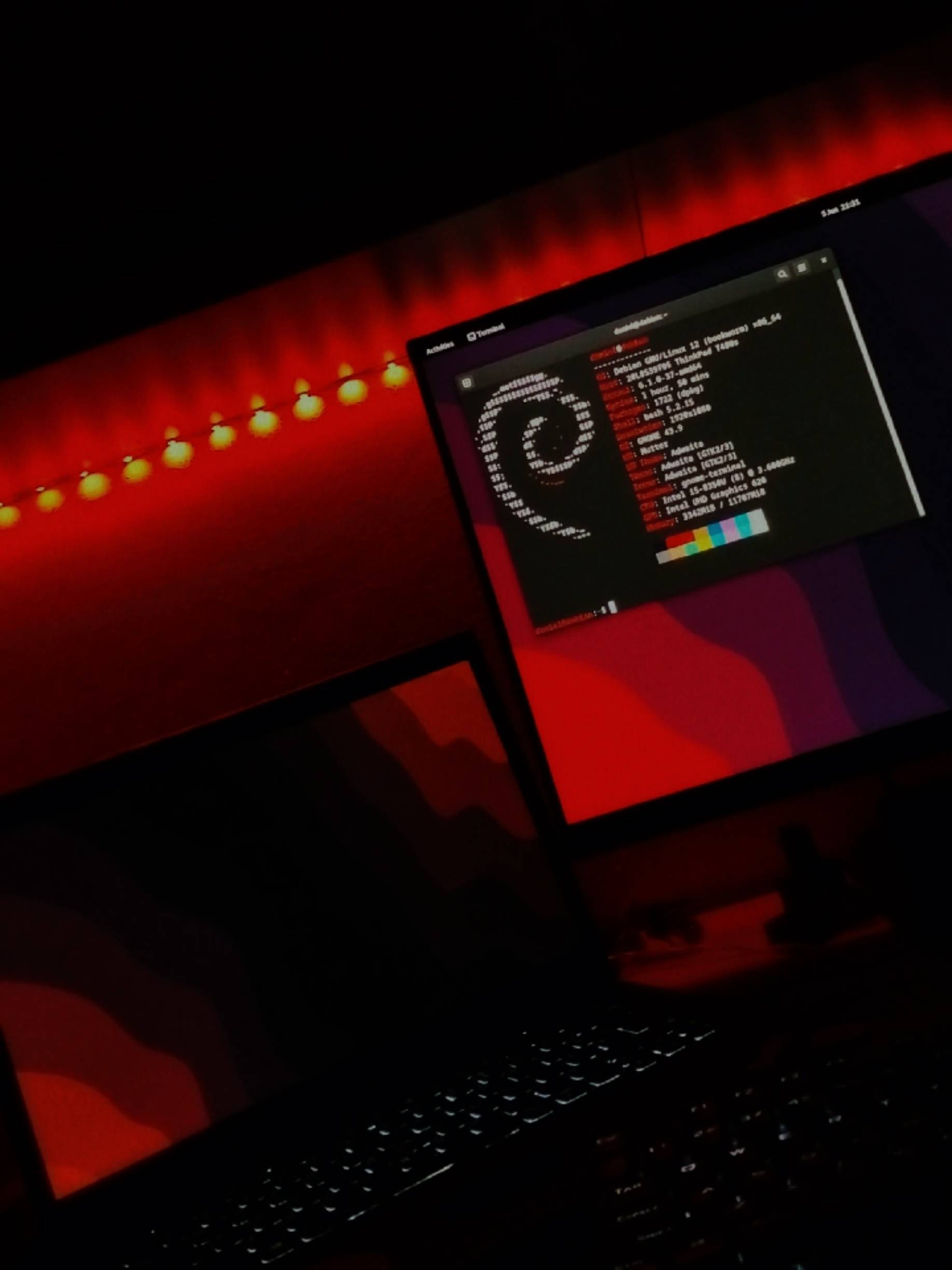 Lenovo ThinkPad running Debian